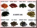 10 x 10g Garnelenfutter Sortiment6